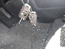2CNFLNEW0A6****** Salvage 2010 Chevrolet Equinox in Texas State
