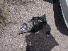 2C4RDGCG6KR****** Wrecked 2019 Dodge Grand Caravan in Arizona State