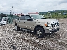 1FTEW1E85AF****** Salvage and Wrecked 2010 Ford F-150 in Pittsburgh
