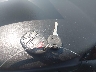 2G1WB5E3XE1****** Salvage 2014 Chevrolet Impala in North Carolina State