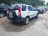 JHLRD78896C****** Salvamento y Destrozados 2006 Honda CR-V en Estado de Tennessee