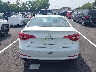 5NPE34AF2FH****** Destrozados 2015 Hyundai Sonata