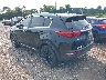 KNDPNCAC4K7****** Salvamento y Reparables 2019 Kia Sportage en Long Island