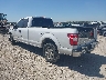 1FTFX1C55JK****** Salvamento y Reparables 2018 Ford F-150 en Dallas