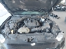 1FA6P8TH0K5****** Repairable 2019 Ford Mustang in Orlando North