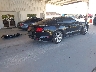 1FA6P8TH0K5****** Salvage and Wrecked 2019 Ford Mustang in Florida State