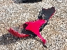 JHMGK5H78GX****** Wrecked 2016 Honda Fit in North Carolina State