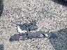 1HGCV1F53KA****** Wrecked 2019 Honda Accord in Virginia State
