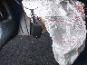 5XYP6DGC1PG****** Salvage 2023 Kia Telluride in Pennsylvania State
