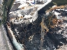 5J8YE1H01NL****** Salvamento 2022 Acura MDX en Templeton