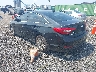 5NPE24AF9HH****** Salvamento y Reparables 2017 Hyundai Sonata en Long Island