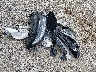 2LMPJ6K95KB****** Wrecked 2019 Lincoln Nautilus in Ohio State