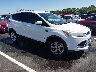 1FMCU0GX9DU****** Salvage and Wrecked 2013 Ford Escape in Nashville