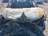 5J8TB18527A****** Reparables 2007 Acura RDX en Tampa North