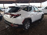 5NMJB3AEXNH****** Salvamento y Destrozados 2022 Hyundai Tucson en Estado de Arizona