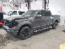 1FTPW14VX9F****** Repairable 2009 Ford F-150 in North Dakota State