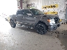 1FTPW14VX9F****** Salvage and Wrecked 2009 Ford F-150 in Fargo