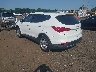 5XYZW3LA4DG****** Salvamento y Reparables 2013 Hyundai Santa Fe en Sayreville