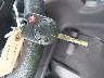 1FMCU9GD6JU****** Salvage 2018 Ford Escape in Illinois State