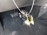 5NPEC4AC3EH****** Salvamento 2014 Hyundai Sonata en Estado de Texas