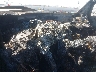 JTEZU5JR6C5****** Salvamento 2012 Toyota 4Runner en Los Angeles South