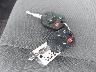 1FMCU9C78CK****** Salvamento 2012 Ford Escape en Estado de Kentucky