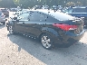 KMHDH4AE1DU****** Salvamento y Reparables 2013 Hyundai Elantra en Hartford
