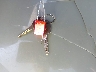 2GCEK19T9X1****** Salvamento 1999 Chevrolet Silverado 1500 en Estado de Florida