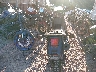 JKAKLEA116D****** Salvamento y Reparables 2006 Kawasaki KLR650 en Estado de Wisconsin