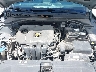 KMHTG6AF6KU****** Reparables 2019 Hyundai Veloster en Pensacola