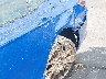 4T1G11AK6PU****** Salvage and Repairable 2023 Toyota Camry in California State