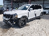 5XYP3DGC4RG****** Usados y Reparables 2024 Kia Telluride en Kansas City East