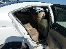1N4AA5AP7CC****** Wrecked 2012 Nissan Maxima in Little Rock