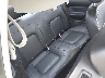 3VWPW31C49M****** Wrecked 2009 Volkswagen New Beetle in Indianapolis