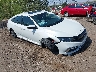19XFC1F71KE****** Salvamento y Destrozados 2019 Honda Civic en Albuquerque