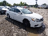1N4AL3AP3HC****** Salvamento y Destrozados 2017 Nissan Altima en Richmond
