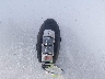 JN1BY1AR1FM****** Salvamento 2015 Infiniti Q70 en Estado de Carolina del Sur