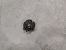 1J4NT1FB2BD****** Wrecked 2011 Jeep Compass in Idaho State