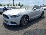 1FA6P8TH8H5****** Usados y Reparables 2017 Ford Mustang en Ace Perris