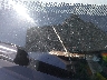 1HGCP36838A****** Wrecked 2008 Honda Accord in Georgia State