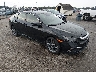 JHMFC1F30KX****** Salvage and Wrecked 2019 Honda Civic in Lincoln