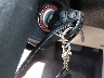 1FADP3K22EL****** Salvage 2014 Ford Focus in Texas State