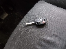 1FADP3E25FL****** Salvage 2015 Ford Focus in Virginia State