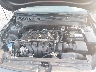 3KPF24AD0KE****** Repairable 2019 Kia Forte in Asheville