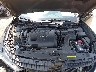 1N4AA6AV8KC****** Reparables 2019 Nissan Maxima en Knoxville