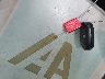 3FADP4BJXFM****** Salvage 2015 Ford Fiesta in Florida State