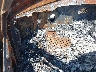1C4RJKBG5N8****** Salvage 2022 Jeep Grand Cherokee Limited in Little Rock