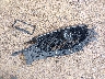 JM3KFBDM9J0****** Wrecked 2018 Mazda CX-5 in Wisconsin State