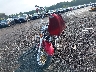 1HD1FB411AB****** Used and Repairable 2010 Harley-Davidson Road King in Ohio State