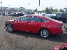 1HGCY1F29PA****** Salvamento 2023 Honda Accord